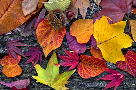 A New Season