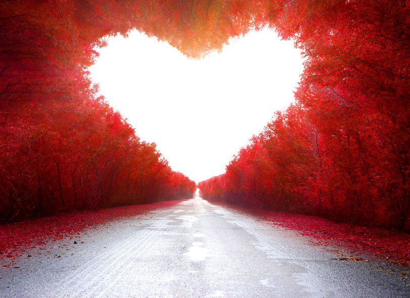 How to Show Love and Respect to Others