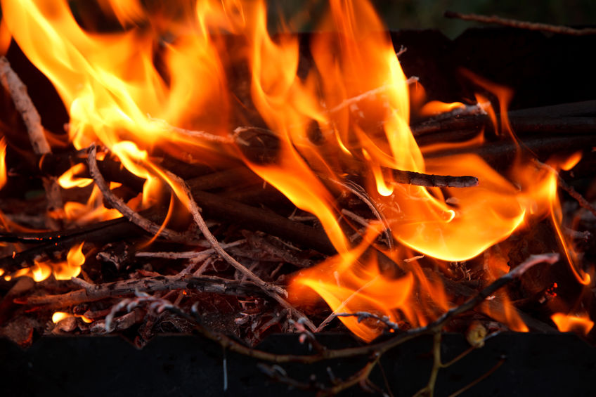 The Glory of Christ and His Church: Living Out the Fire